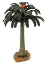 Drzewo Cycad  - 