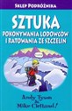 Sztuka pokonywania lodowców i ratowania ze szczelin  