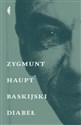 Baskijski diabeł - Zygmunt Haupt