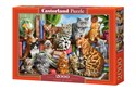 Puzzle 2000 House of Cats -  polish books in canada