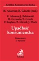 Upadłość konsumencka Komentarz po nowelizacji prawa upadłościowego i naprawczego - Polish Bookstore USA
