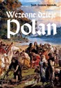 Wczesne dzieje Polan  