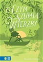O czym szumią wierzby - Polish Bookstore USA