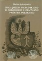 Rola Józefa Piłsudskiego w odbudowie i umacnianiu państwa polskiego in polish
