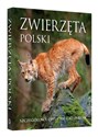 Zwierzęta Polski Szczegółowe opisy 300 gatunków in polish