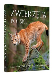 Zwierzęta Polski Szczegółowe opisy 300 gatunków in polish