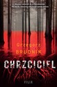 Chrzciciel Wielkie Litery polish books in canada