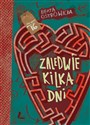 Zaledwie kilka dni online polish bookstore