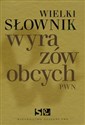 Wielki słownik wyrazów obcych PWN z płytą CD  Polish Books Canada