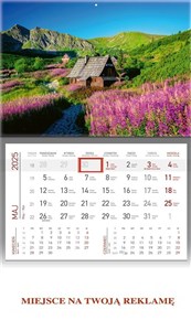 Kalendarz 2025 ścienny jednodzielny Hala...  pl online bookstore