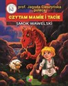 Smok Wawelski - Łukasz Zabdyr pl online bookstore