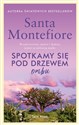 Spotkamy się pod drzewem ombu - Santa Montefiore