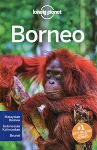 Lonely planet Borneo pl online bookstore