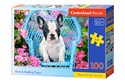 Puzzle 100 French Bulldog Pup - 