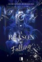A Reason of Falling  
