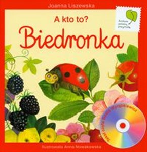 A kto to? Biedronka + CD chicago polish bookstore