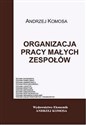 Organizacja pracy małych zespołów EKONOMIK to buy in USA