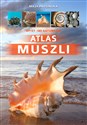 Atlas muszli Canada Bookstore