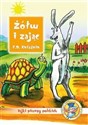 Żółw i zajac - Kniaźnin polish books in canada