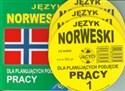 Język norweski dla planujących podjęcie pracy + 3CD - 