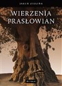 Wierzenia prasłowian - Jakub Zielina