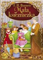 Mała Księżniczka buy polish books in Usa