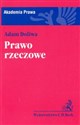 Prawo rzeczowe to buy in USA