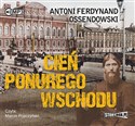 [Audiobook] Cień ponurego Wschodu  