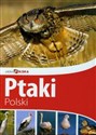 Piękna Polska Ptaki Polski buy polish books in Usa