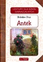 Antek buy polish books in Usa