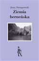 Ziemia berneńska  