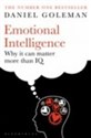 Emotional Intelligence Why it Can Matter More Than IQ Canada Bookstore