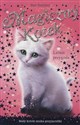 Magiczny kotek Letnia przygoda buy polish books in Usa