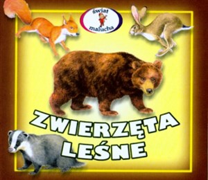 Zwierzęta leśne to buy in USA