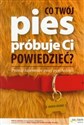 Co Twój pies próbuje Ci powiedzieć? Poznaj tajemnice psiej psychologii - Polish Bookstore USA