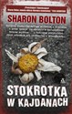 Stokrotka w kajdanach Wielkie Litery in polish