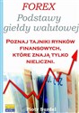 Forex 1 Podstawy Giełdy Walutowej Canada Bookstore