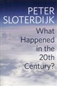 What Happened in the Twentieth Century? - Polish Bookstore USA