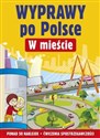 Wyprawy po Polsce W mieście polish books in canada