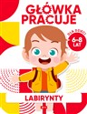 Główka pracuje Labirynty polish books in canada