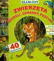 Szablony Zwierzęta dżungli sawanny pustyni z 40 szablonami  bookstore