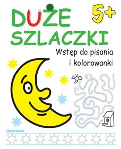 Duże szlaczki 5+ Wstęp do pisania i kolorowanki buy polish books in Usa