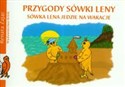 Przygody Sówki Leny Sówka Lena jedzie na wakacje - Renata Zając