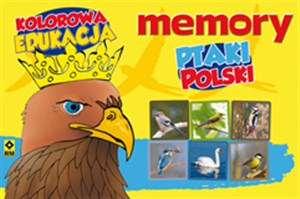 Ptaki Polski Memory Kolorowa Edukacja chicago polish bookstore
