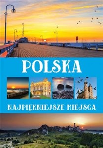 Polska Najpiękniejsze miejsca chicago polish bookstore