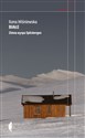 Białe Zimna wyspa Spitsbergen Polish bookstore