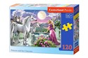 Puzzle Princess and her Unicorns 120  