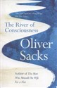 The River of Consciousness - Polish Bookstore USA
