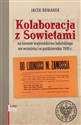 Kolaboracja z Sowietami na terenie województwa lubelskiego we wrześniu i październiku 1939 r. polish books in canada