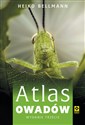 Atlas owadów  